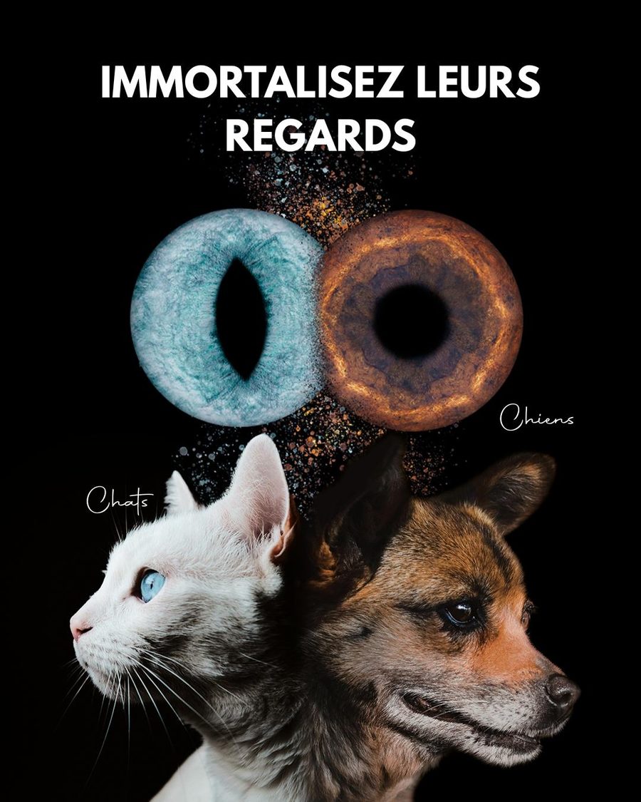 Iris de chat et iris de chien photographiés par You&Eye : immortalisez leurs regards
